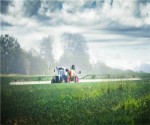 potash_fertilizer_crop