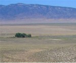 viking_minerals_south_dolly