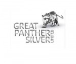 great_panther_silver_logo