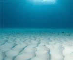 ocean_floor_marine_sea