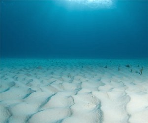 ocean_floor_marine_sea