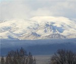 silver_falcon_war_mountain