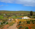 south_africa_namaqualand_farm