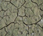 dry riverbed