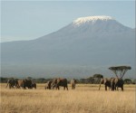 kenya_kilimanjaro