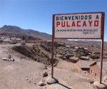 apogee_pulacayo_silver