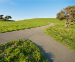 merger shutterstock 333