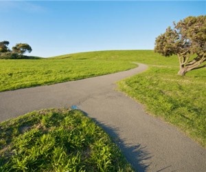 merger shutterstock 333