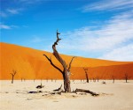 nambia_desert