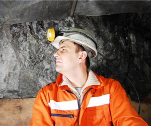 shutterstock miner 333