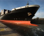 shutterstock shipping 333
