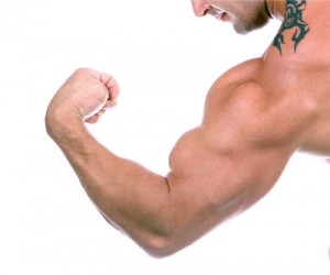 flex muscles