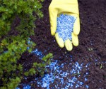 fertilizer