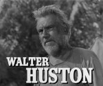 walter houston