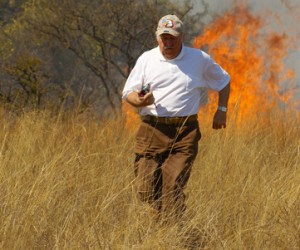 finance_run_away_fire_escape_600