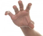 shutterstock hand 333