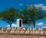 Crusader Borborena