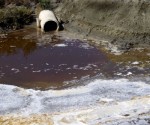 pollution_water
