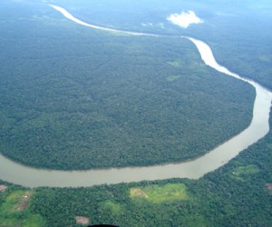 Brazil_Amazon333