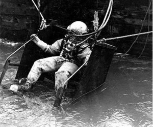diver 333