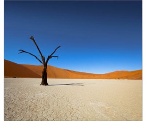 Paladin Energy suspends operations at Malawi mine