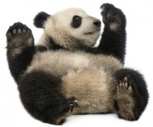 The biggest bear of all? Iron ore price heading for $50-something