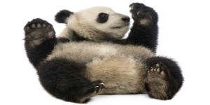 The most bearish of them all? Iron ore price heading for $50-something