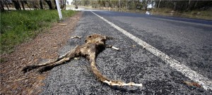 The BHP show obscures Australian mining's deeper problems