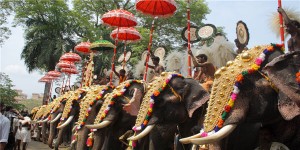 Gandhi comments lights fire under gold price