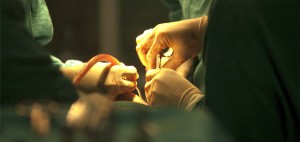 tungsten critical metal