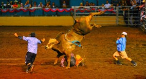 Report: 2016 is start of new gold bull cycle