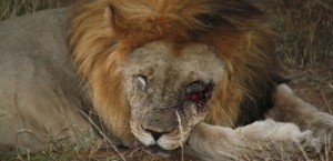 South Africa's 3Q growth worse than expected due to strikes