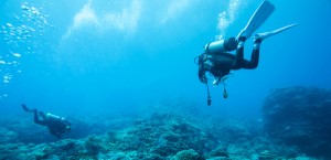 Japan to subsidize underwater rare earth venture