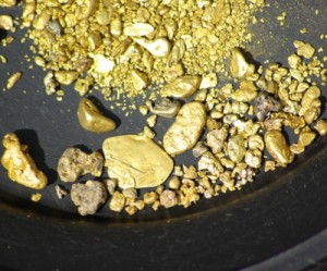 Pfizer lab missing $700K of gold dust