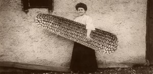 Media hoax wipes $330 million off Whitehaven Coal