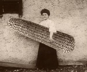 Media hoax wipes $330 million off Whitehaven Coal