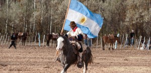 Vale halts $6 billion potash project in Argentina