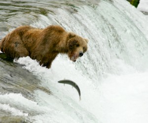 Canada’s BC government faces legal action over gold mine rejection