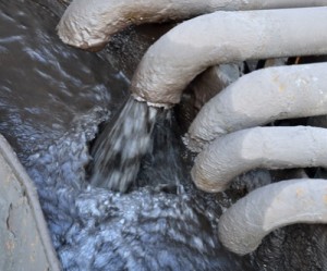 From toilet to tap: young Canadians develop new method for wastewater clean-ups