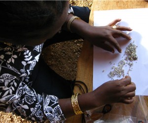 KP experts examine diamonds in Cameroon