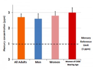 Mercury pollution linked to illegal gold mining in Peru