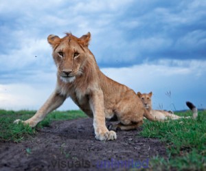 SA mining production up thanks to iron ore, diamonds