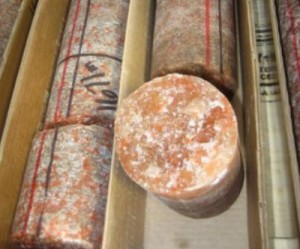 Potash drilling sample