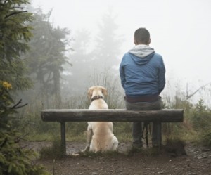 BHP keeps production guidance despite falling prices and bad weather