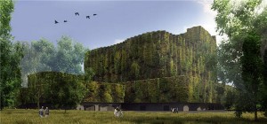 coal plant anza wrap in greenery