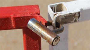 dutwa nickel african eagle