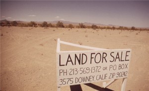 gold real estate gallup top investment choice