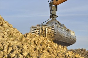 sugar beets iron ore