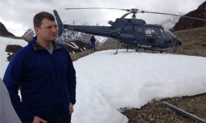 ben mossman banks island gold yellow giant