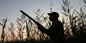 Chinese firms go hunting for gold mines overseas